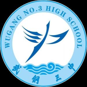 武钢三中DSE班